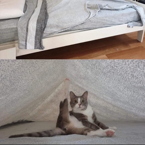 Meet your Posher, Kat - Picture 1 of 1